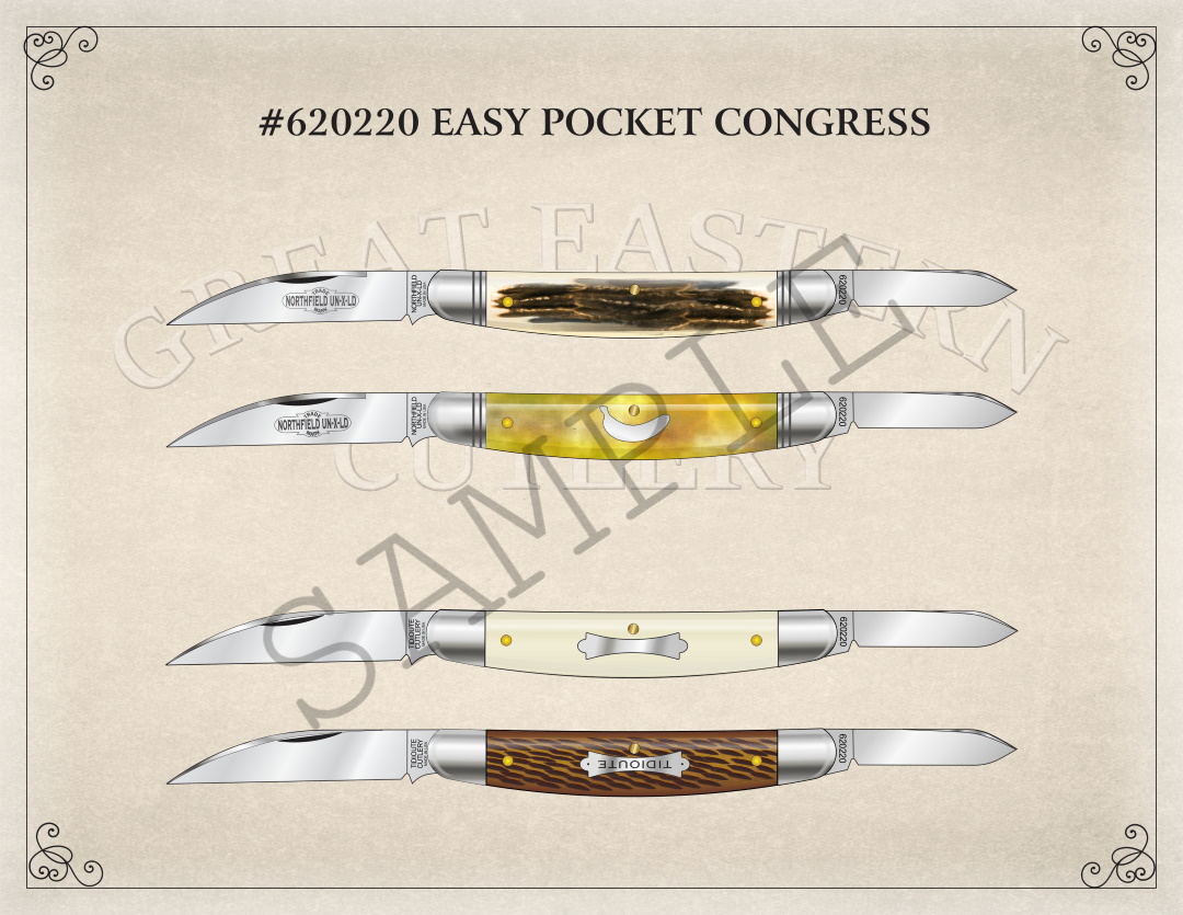 #62 Easy Pocket Congress Poster